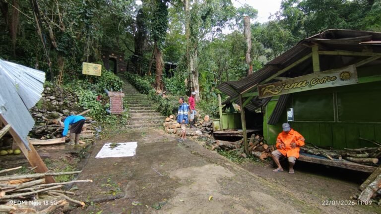 Pohon Tumbang Timpa Warung di Makam Syekh Sadzali Rejenu