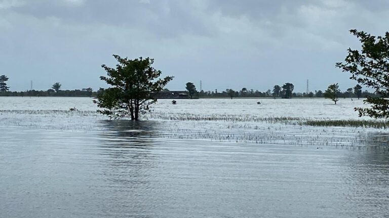 1.970 Hektar Sawah di Kudus Masih Tergenang Banjir