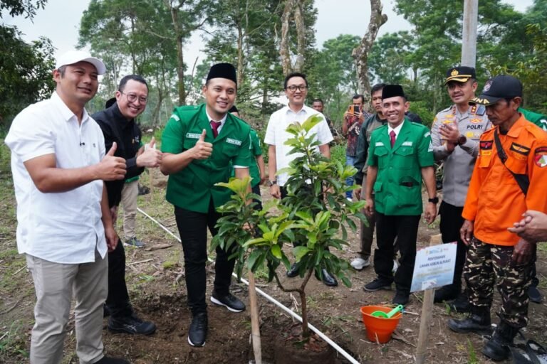 Kolaborasi PLN, GP Ansor dan Pemkab Boyolali Hijaukan Lereng Merapi