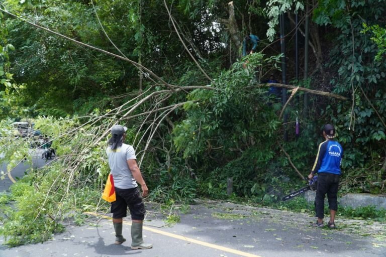 Masuki Puncak Musim Hujan, PLN UP3 Yogyakarta Tingkatkan Kesiagaan Sistem Kelistrikan Hadapi Cuaca Ekstrem