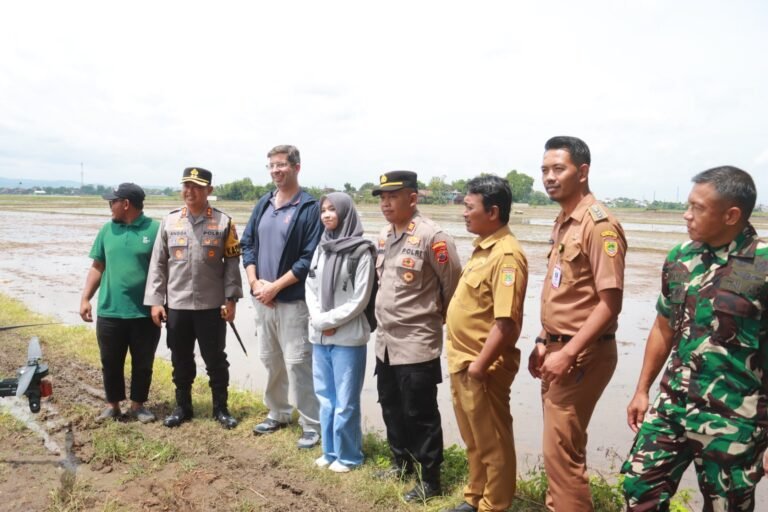 Tekan Impor, Polres Sukoharjo dan Investor Spanyol Tanam Padi Jepang