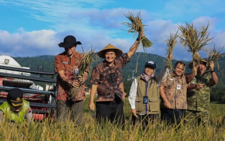 Jateng Mulai Panen Raya Padi, Diperkirakan Bisa Panen 3,35 Juta Ton Selama 3 Bulan